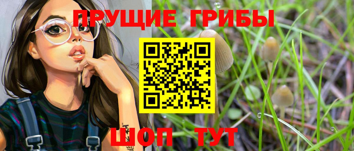 Галлюциногенные грибы Cubensis Обь