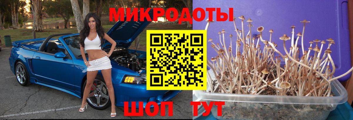 Псилоцибиновые грибы ЛСД  как найти закладки  Обь  Вход с VPN 